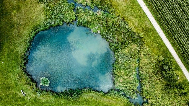 バス釣り、池